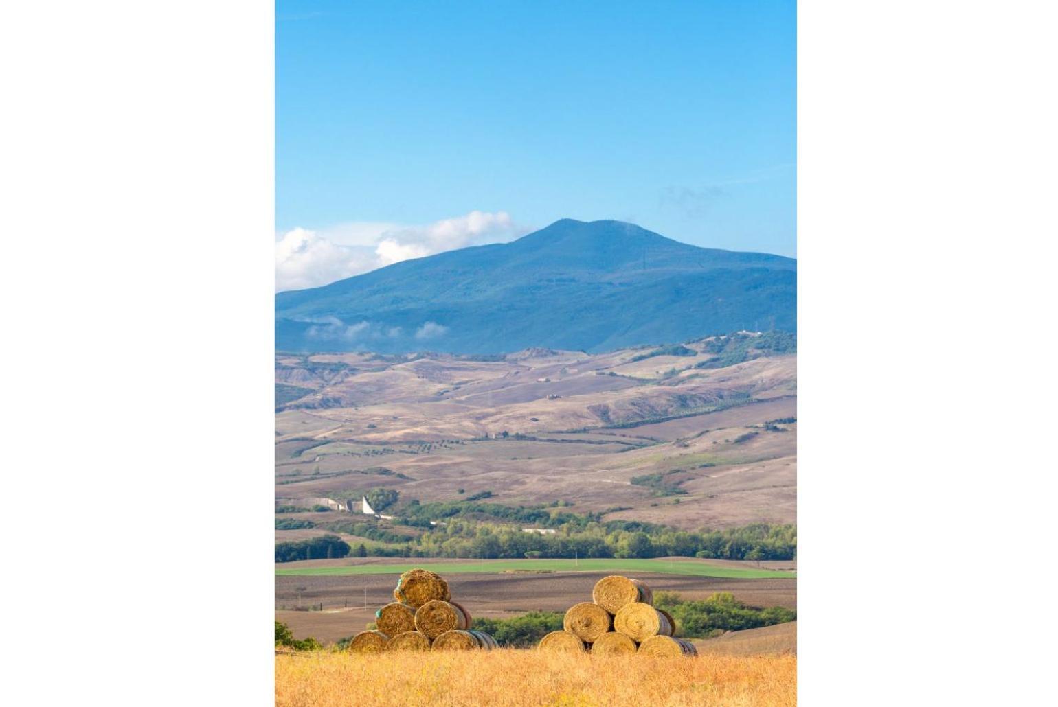 Villa Podere Belvedere Сиена Екстериор снимка
